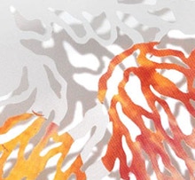 CUT PAPER: Swarm